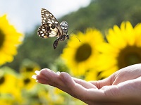 The Art of Staying in the Moment The Art of Staying in the Moment